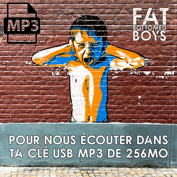 Fat Bottomed Boys - Haters Gonna Hate - MP3